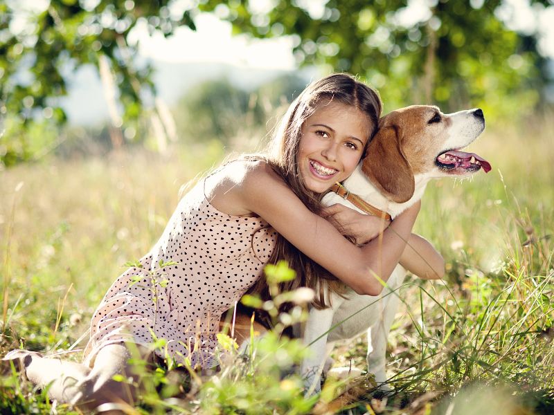 A terapia assistida por animais
